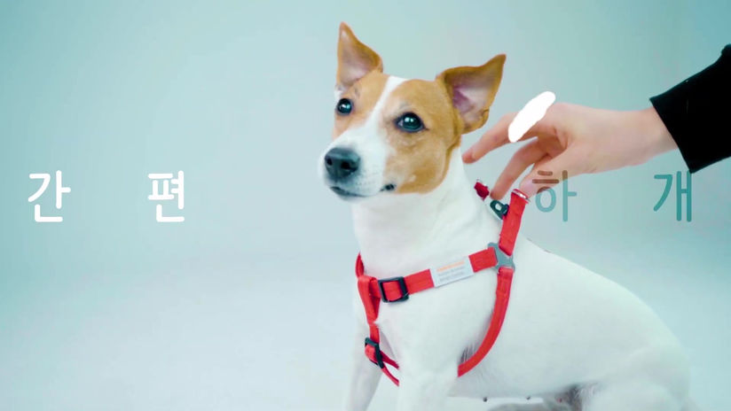 [포인핸드 하네스] 홍보영상